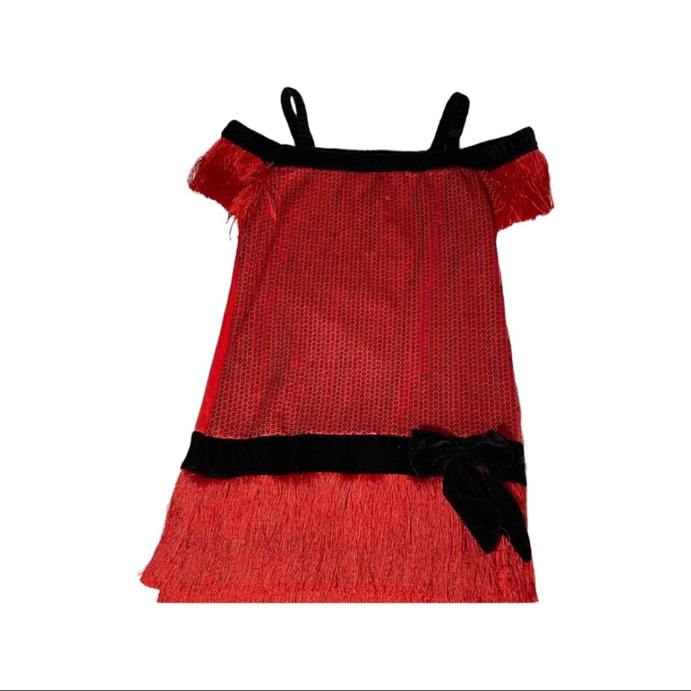 Great Gatsby Flapper Costume/ Skating Dress